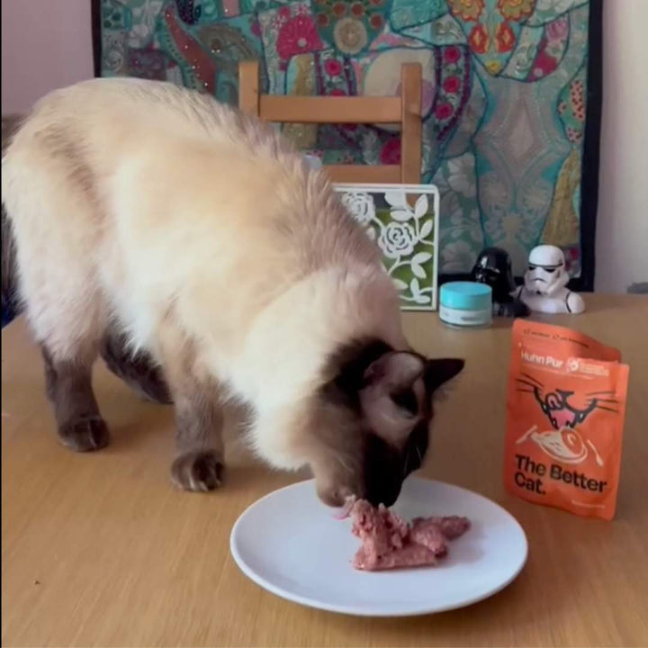 Monster Bundle inkl. GRATIS Thermo - Roségold