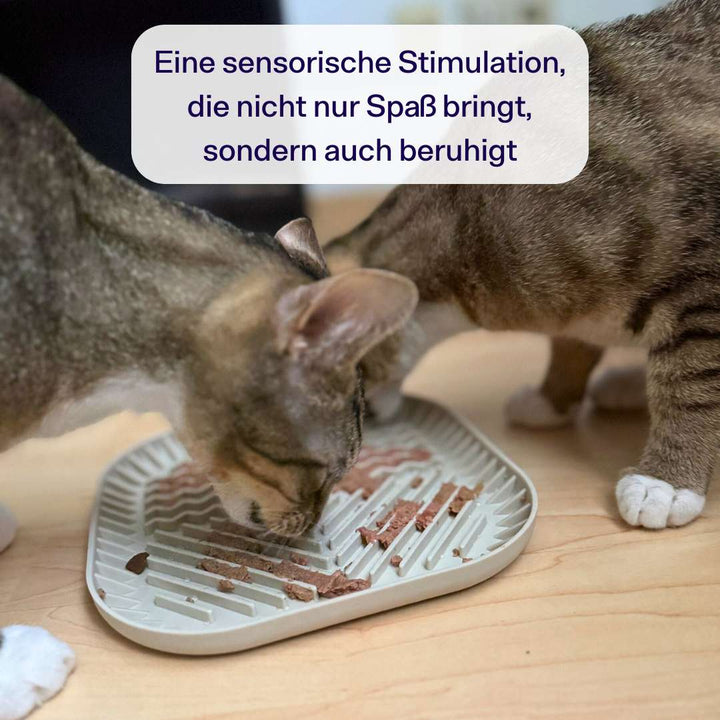 Wellness Starterpack inkl. GRATIS Schleckmatte