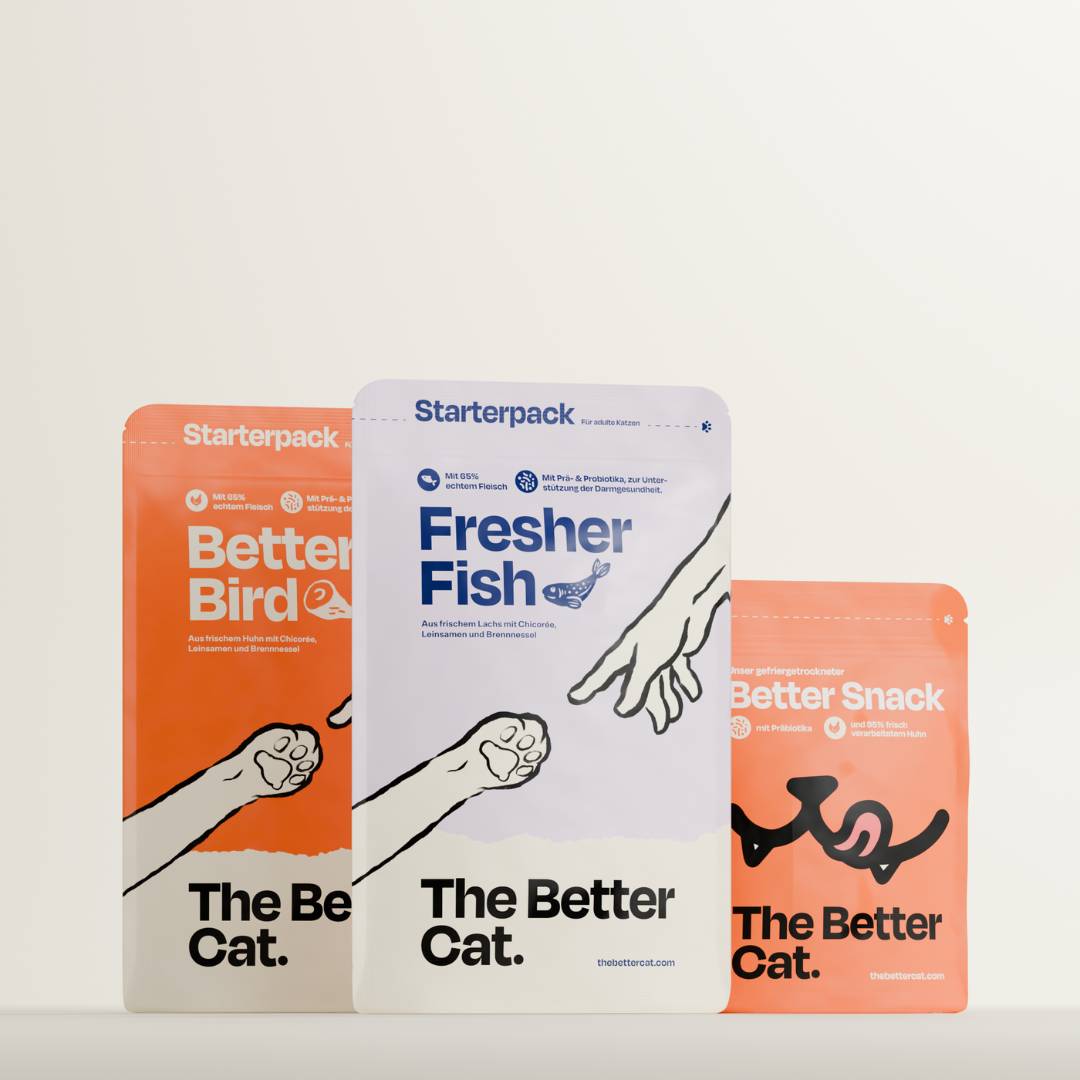 Getreidefreies Trockenfutter Probier-Pack  The Better Cat
