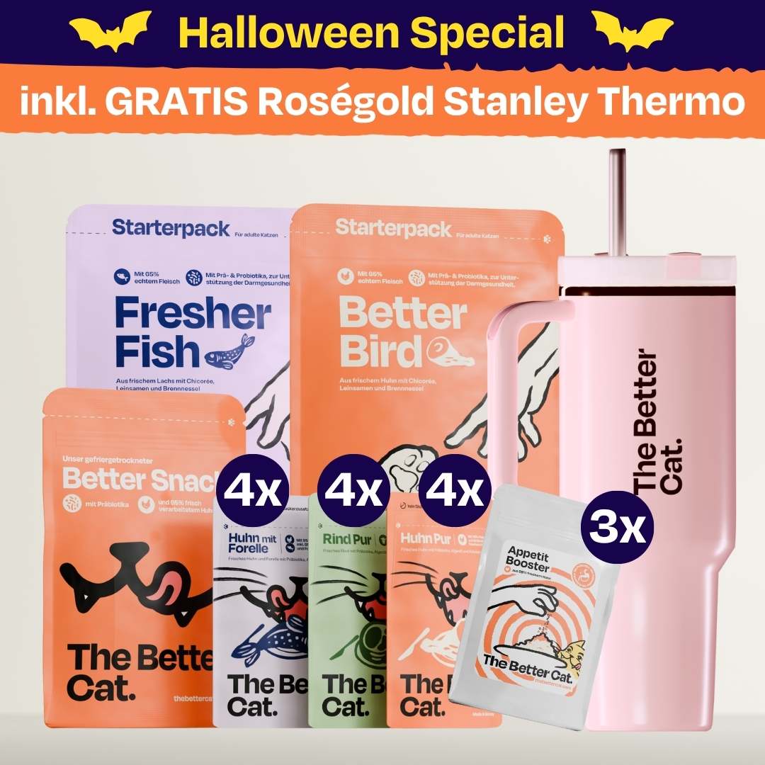 Monster Bundle inkl. GRATIS Thermo - Roségold