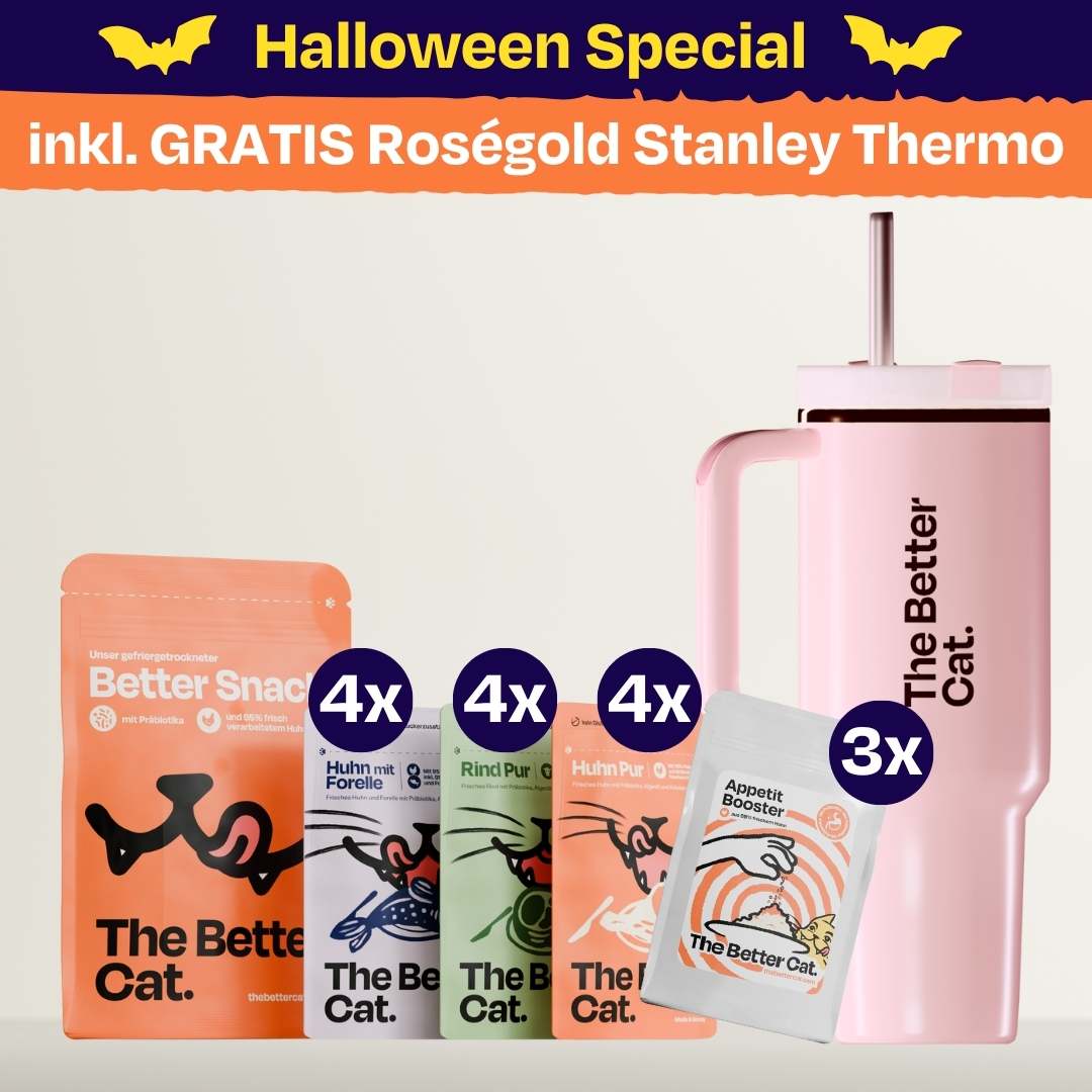 Monster Bundle inkl. GRATIS Thermo - Roségold