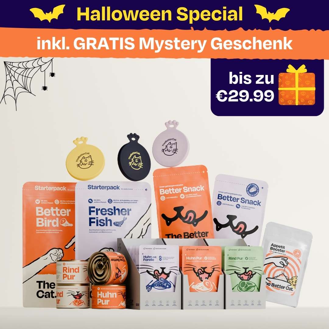 Halloween Mystery Bundle