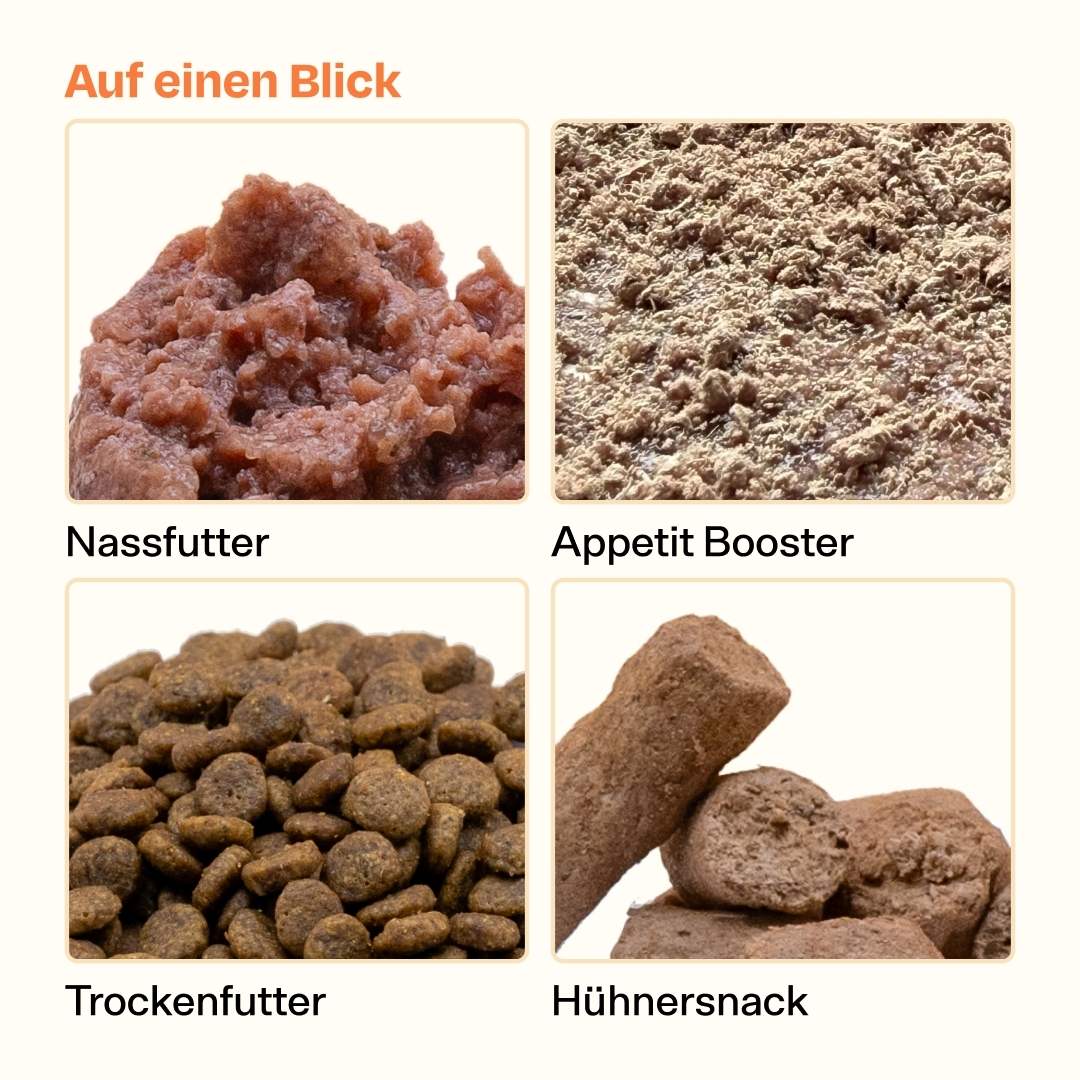 Frisches Starterpack inkl. GRATIS Appetit Booster Proben