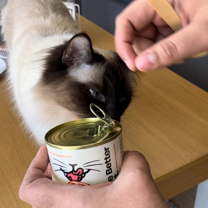 Nassfutter Volumenpaket - Dosen