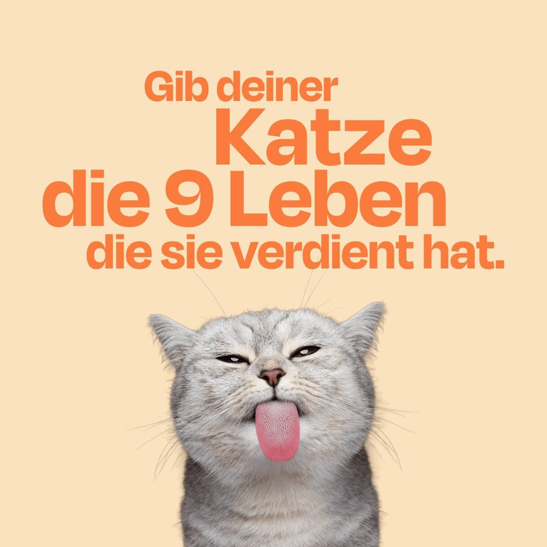 Nassfutter Volumenpaket - Dosen