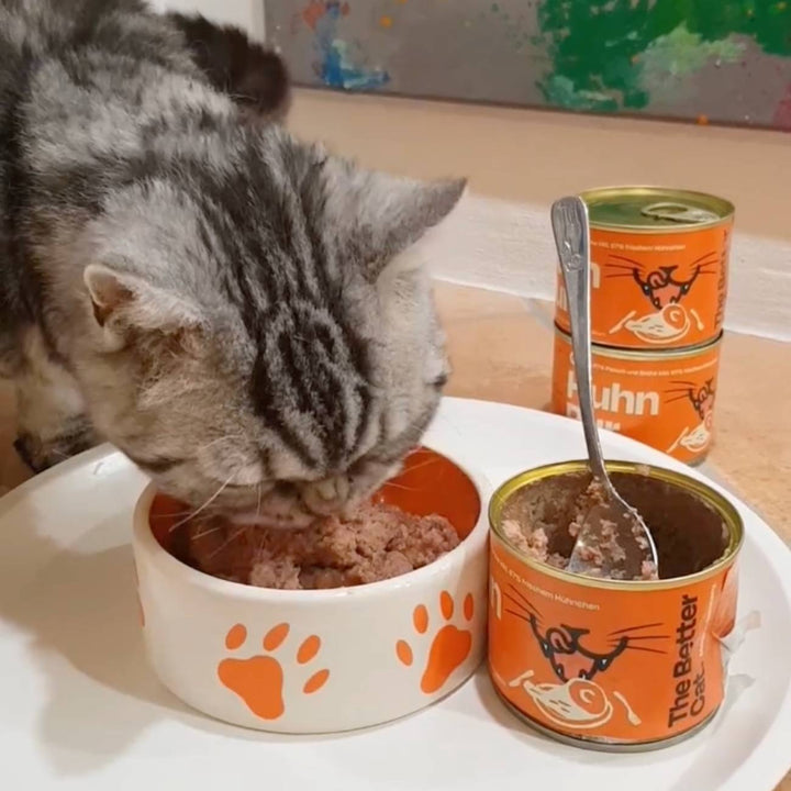 Nassfutter Volumenpaket - Dosen