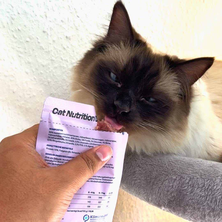 Nassfutter Pur Probier-Pack