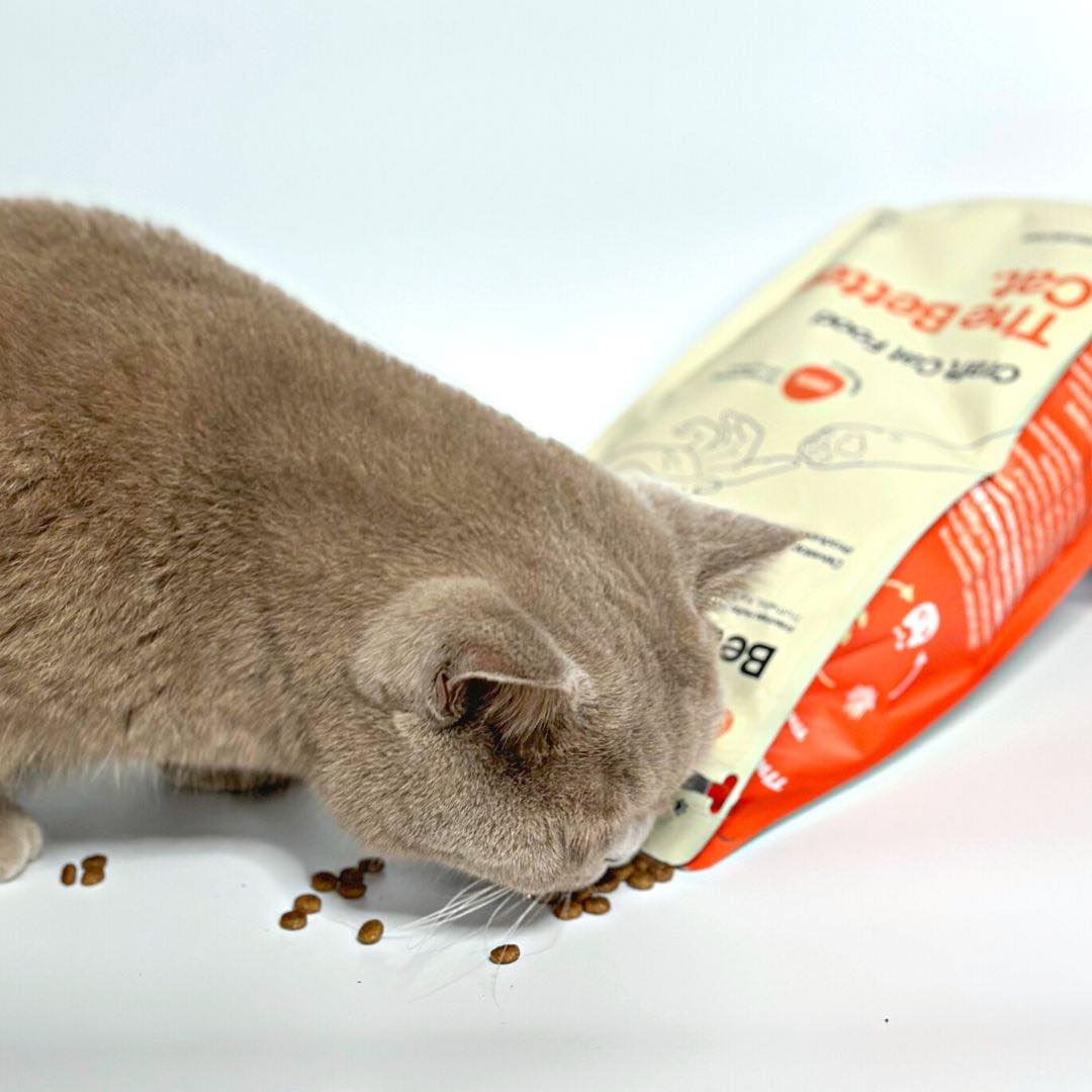 2kg Getreidefrei Frisches Huhn 🐔