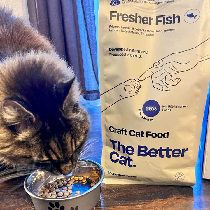 1kg Getreidefrei Frischer Lachs 🐠