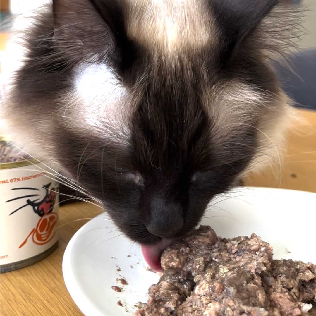 6x200g Monoprotein Rind Pur Nassfutter