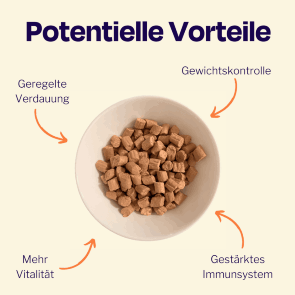 50g gefriergetrockneter purer Hühnersnack 🐔