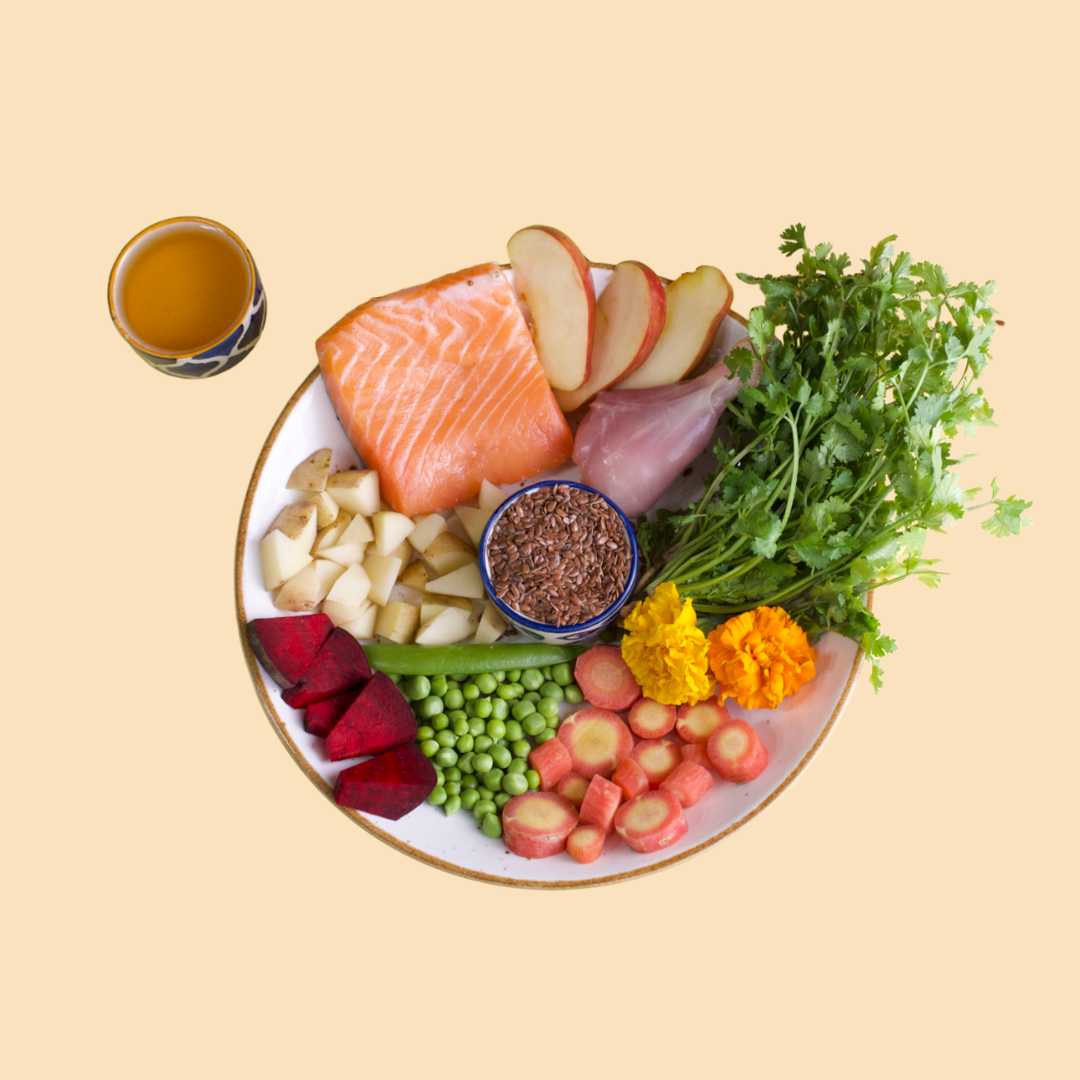 1kg Getreidefrei Frischer Lachs 🐠