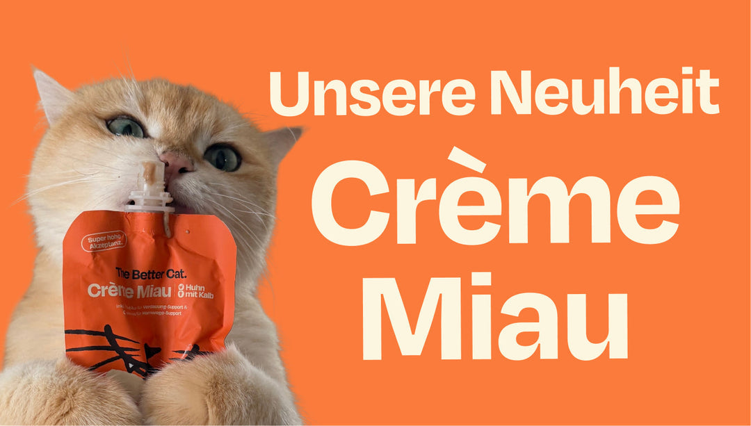 Neu: Crème Miau - der cremige Snack für besondere Katzenmomente