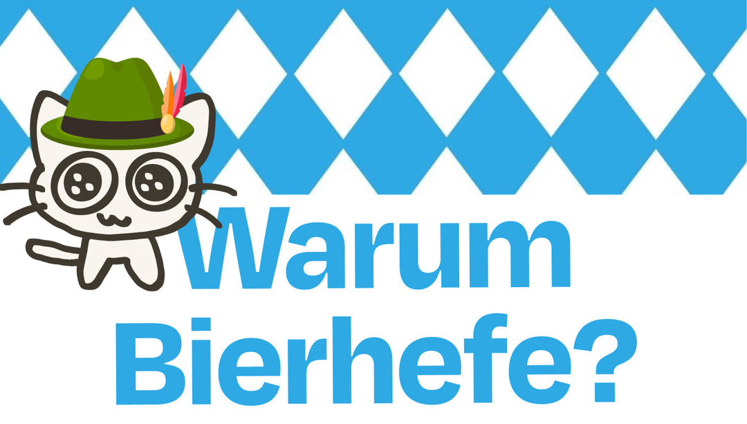O’zapft is! Warum steckt eigentlich Bierhefe in unserem Katzenfutter? 🍻🐱