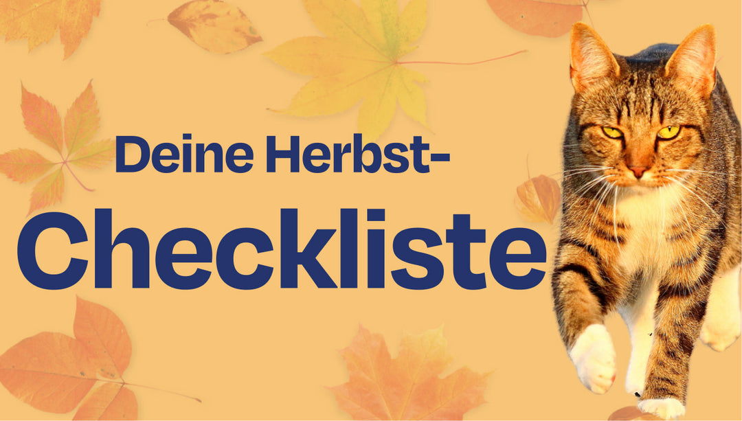 Winter und Herbst is coming - so kannst du dich vorbereiten