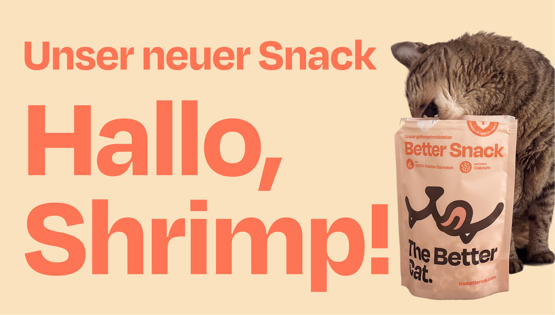 Achtung, streng limitiert und exklusiv! Unser Shrimp Snack