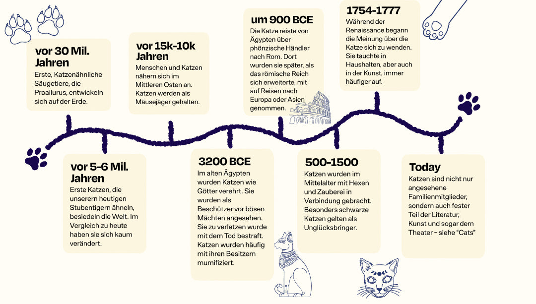 Die Geschichte der Katze auf einen Blick