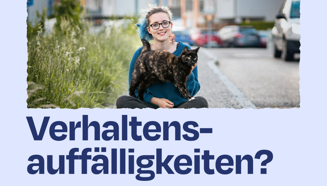 Verhaltensauffälligkeiten bei Katzen? (Mit @anikatze.at)