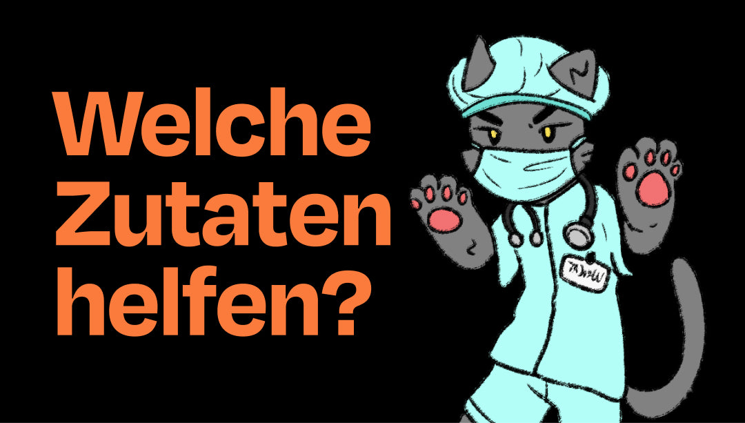 Die häufigsten Katzenprobleme und welche Zutaten helfen (#7Katzenleben)