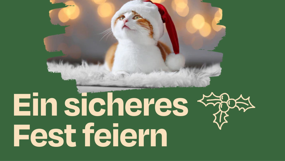 Eine sichere Weihnachtsfeier für deine Katze! (#GeschenkeFürAlle)