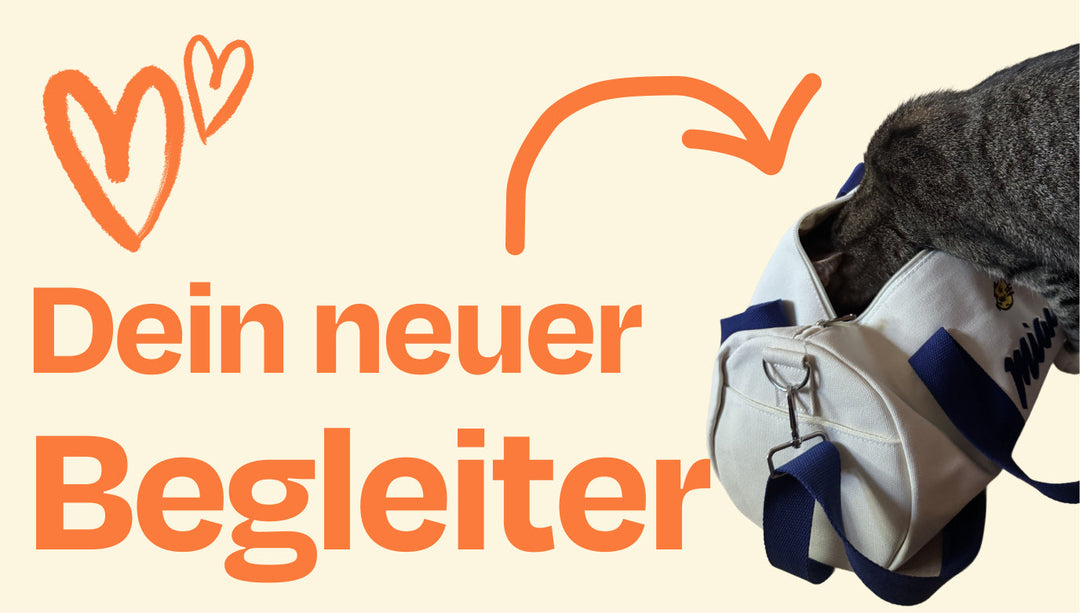 Dein neuer Begleiter! (Nein, es ist keine Katze)