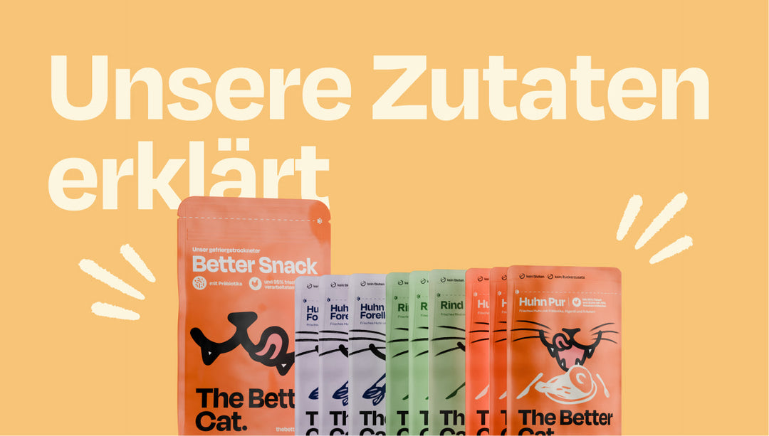 Was steckt in unserem Futter? / Unsere Zutaten erklärt