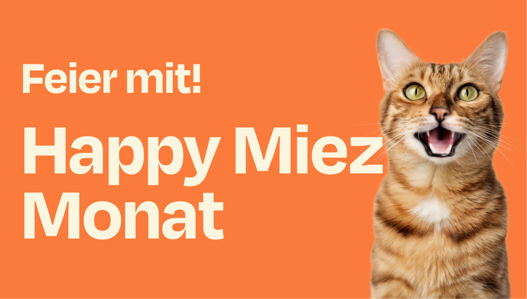 Happy Miez Monat - unser September Highlight ist da!