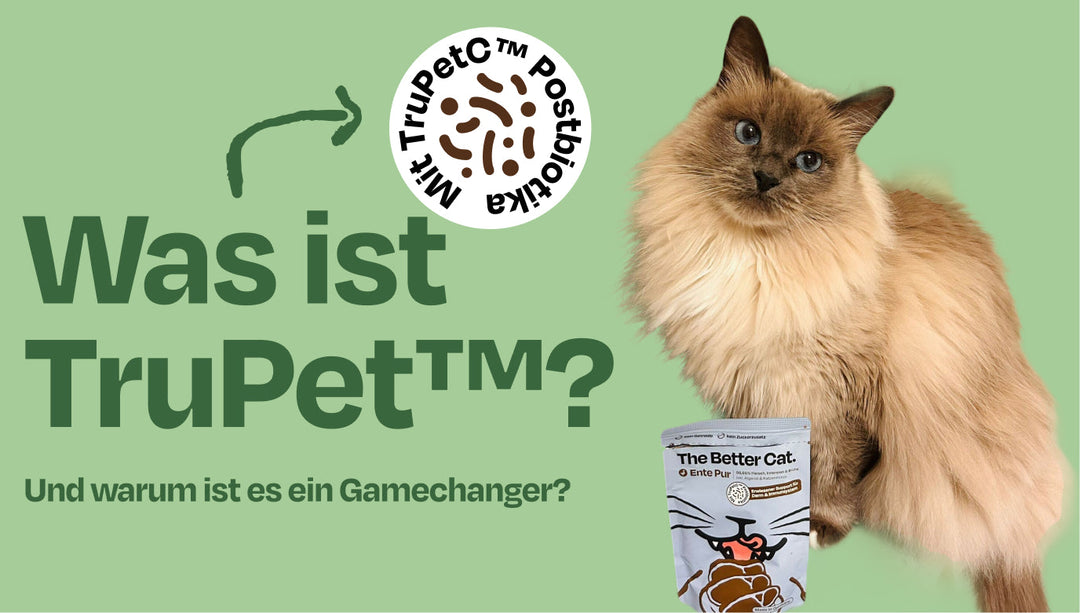 Was steckt hinter TruPet™ - und warum ist es so besonders? #biotika