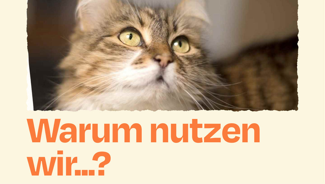 Warum nutzt ihr eigentlich Biotin im Trockenfutter?
