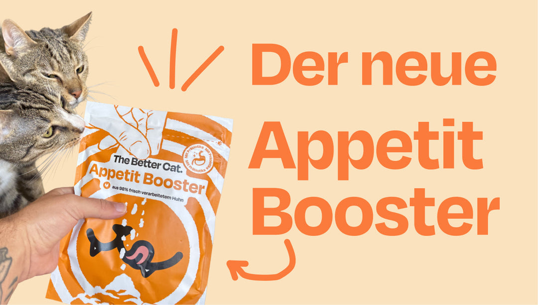 Achtung, Neuerung! Der Appetit Booster 2.0