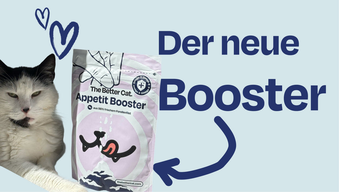 Für mäkelige Feinschmecker: Unser neuer Appetit Booster mit Forelle ist da 🐟