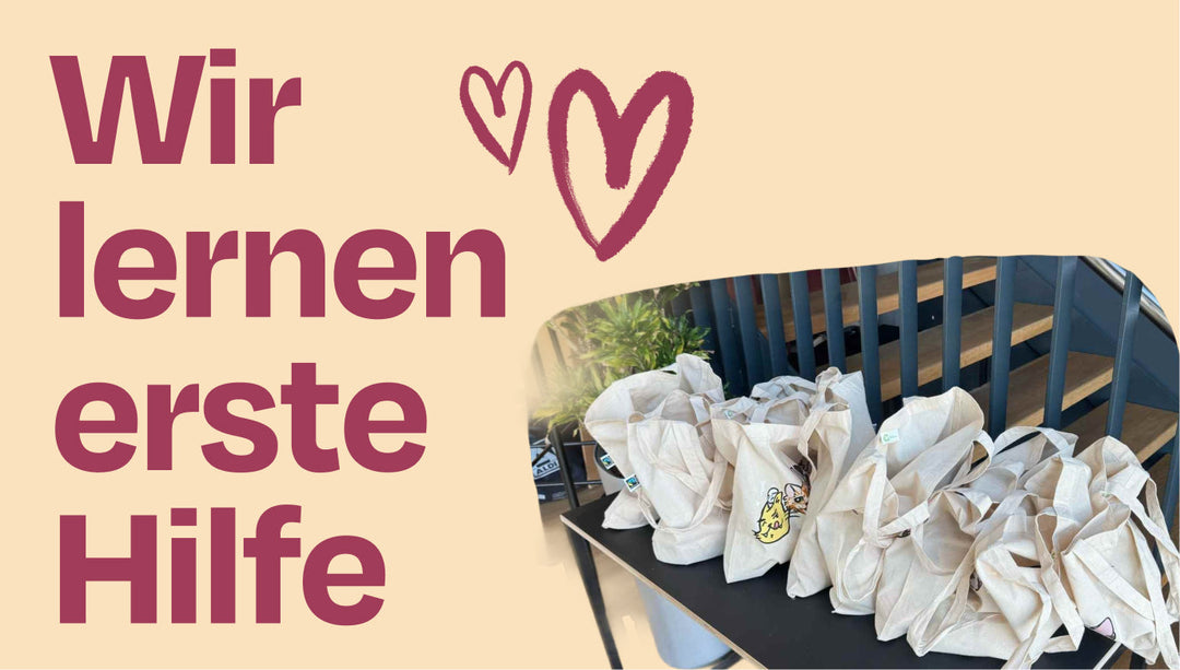 So rettest du das Leben einer Katze / Unser Community-Event 🐱‍👓