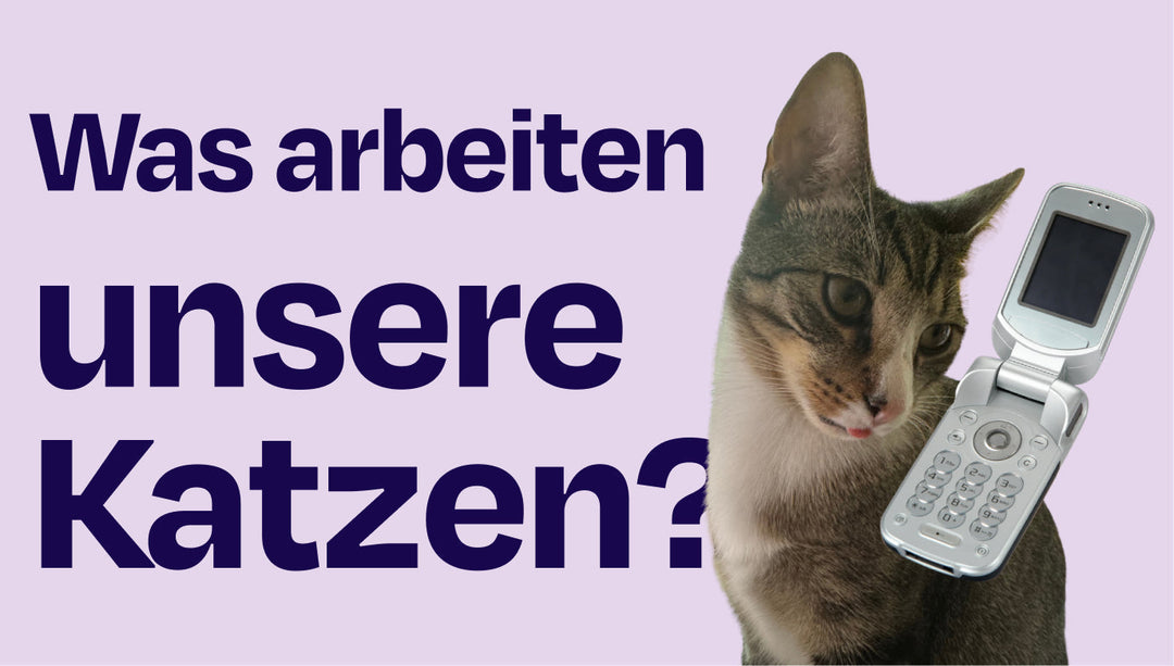 Wer bei uns wirklich das Sagen hat… 🐾