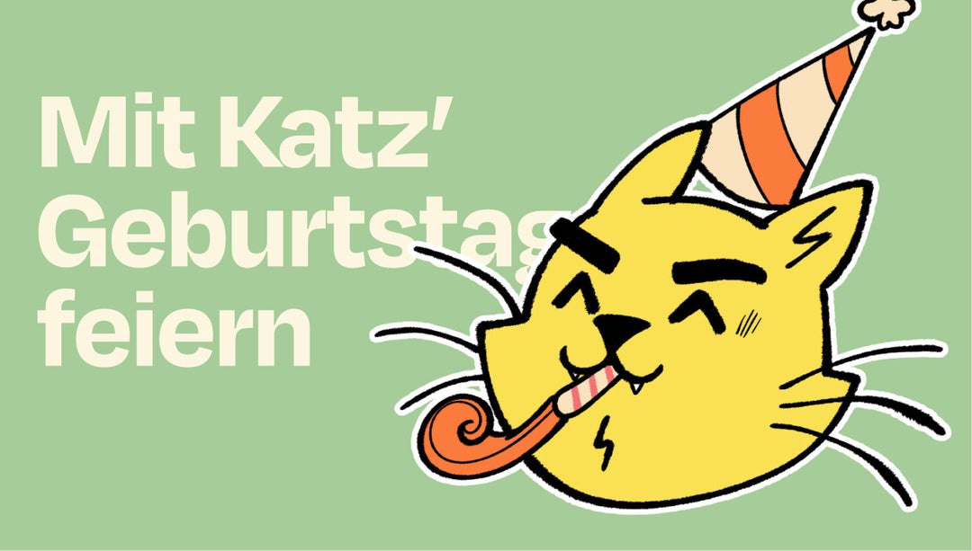 🎉 Deine Katze hat Geburtstag – ein Grund zum Feiern! 🎉