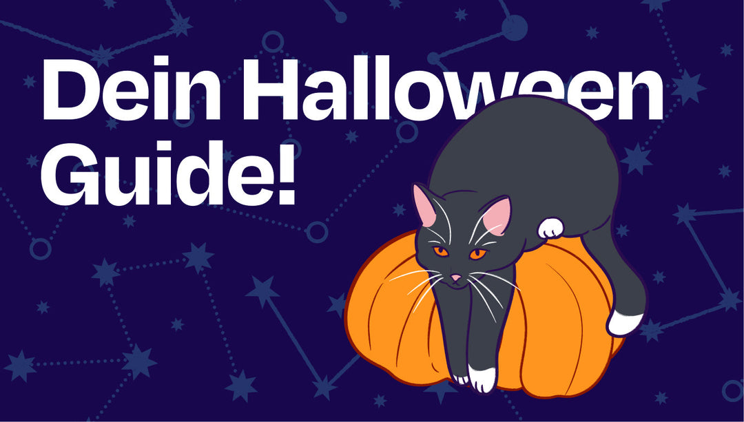 Halloween mit Katze - so wird das Fest sicher und entspannt 🎃