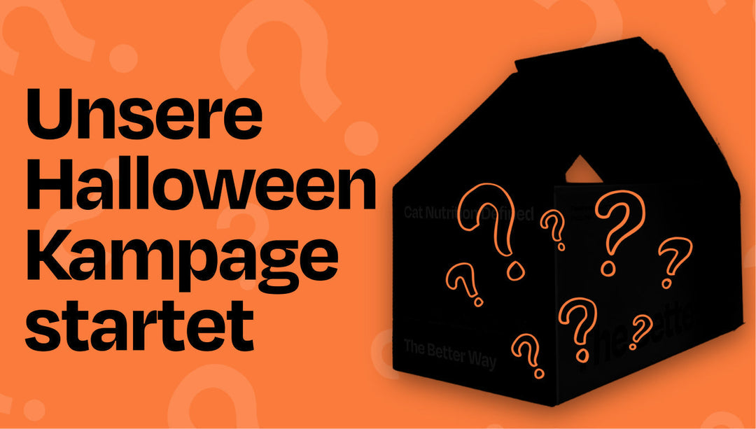 Halloween Special: Spooky Deals für dich und deinen Stubentiger