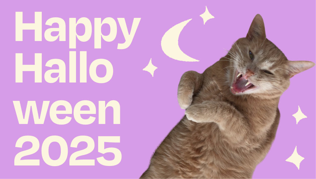 Happy Halloween - letzte Chance auf unsere Deals!