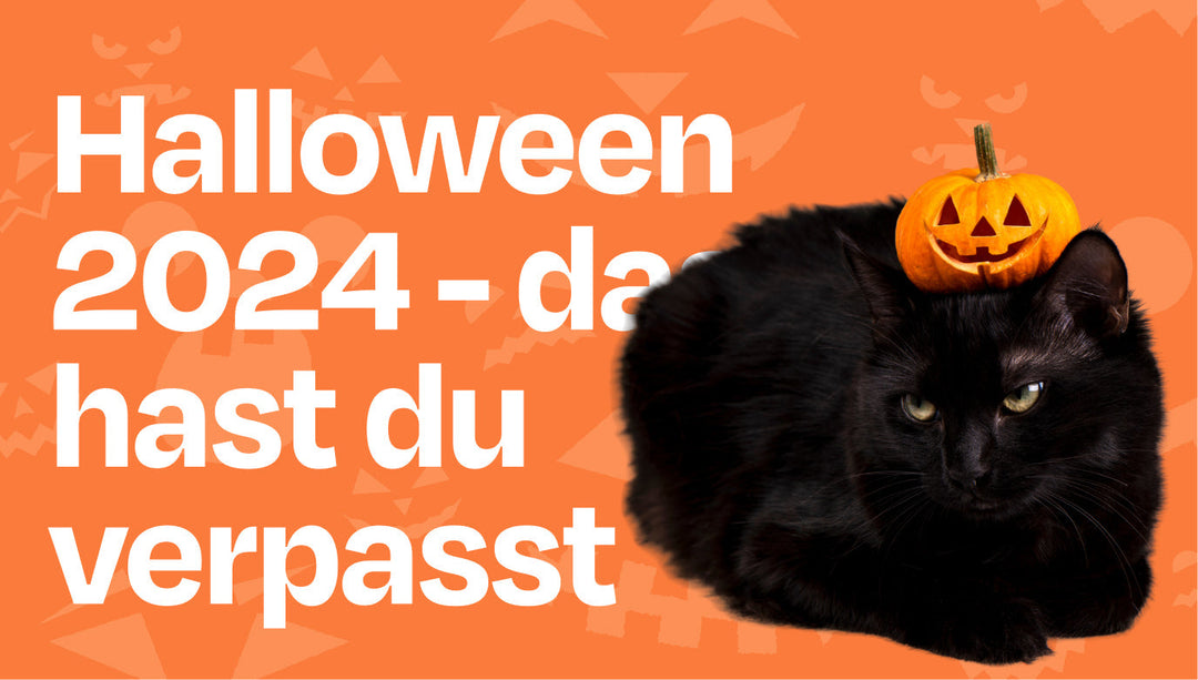 Das hast du verpasst - Halloween 2024