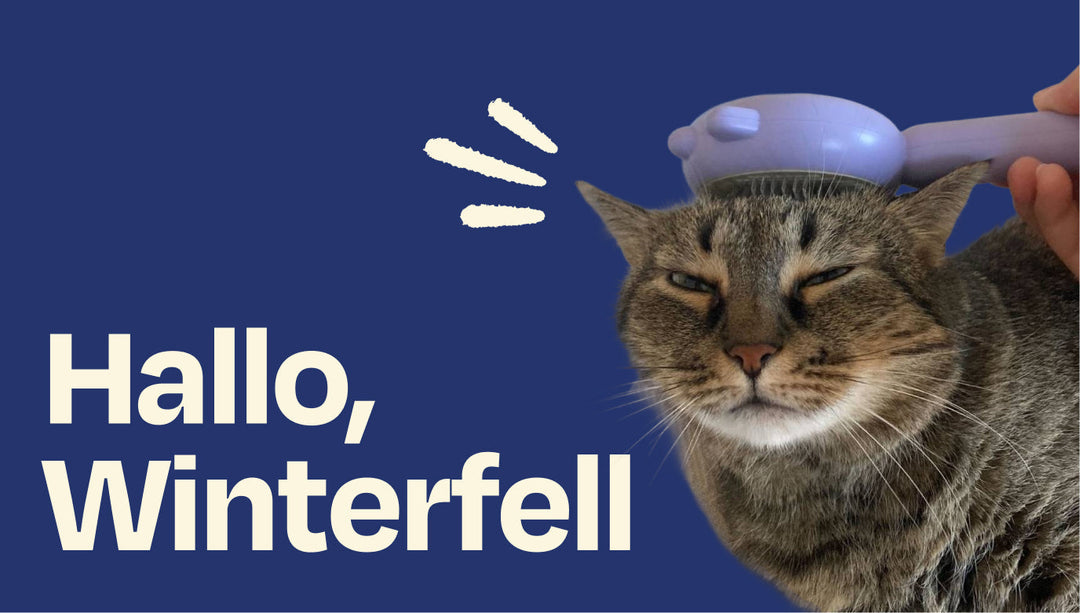 Hallo, Winterfell! Was du über den Fellwechsel wissen musst