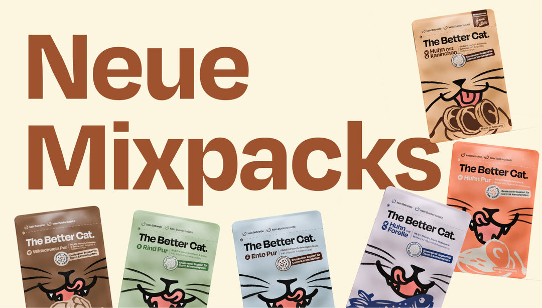 So findest du ganz einfach die Lieblingssorte deiner Katze - unsere neuen Mixpacks!