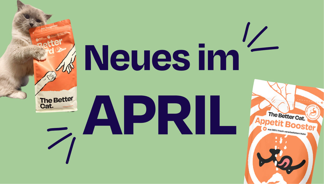Die Highlights im April - das hast du verpasst!