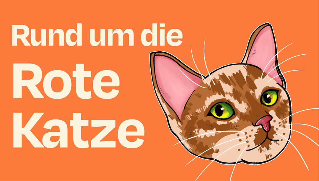 Orange Katzen im Mythos-Check: Was ist dran an ihrem besonderen Charakter?