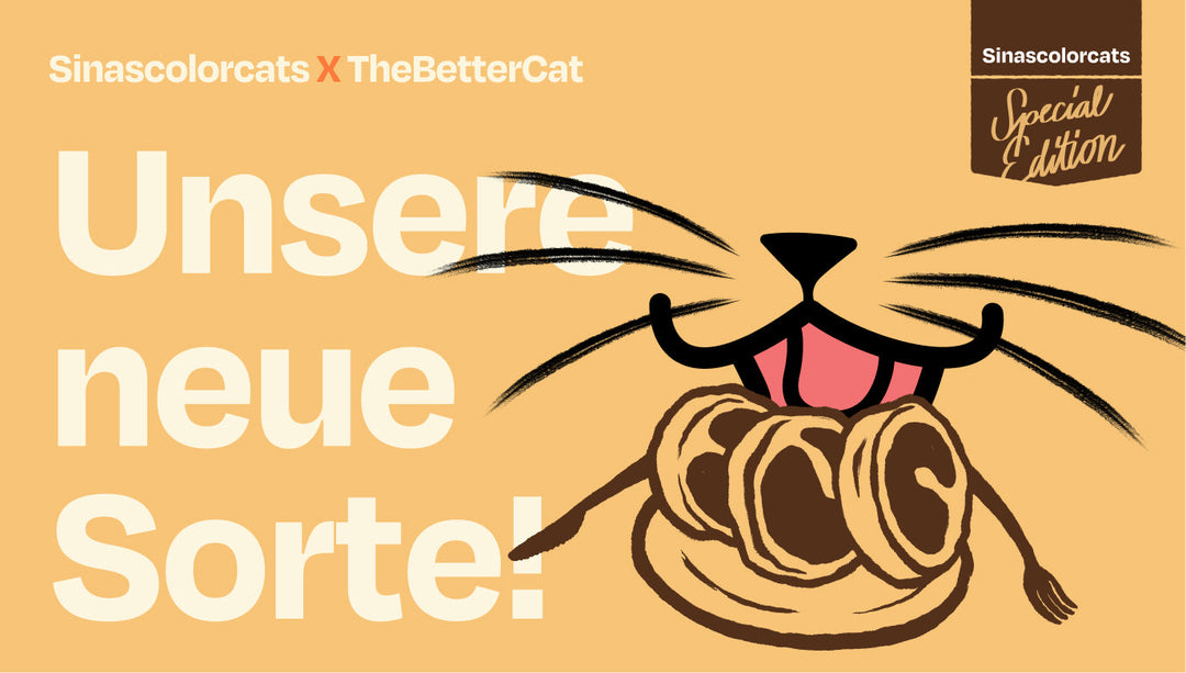 Endlich da: Unser drittes Nassfutter - The Better Cat x SinasColorCats 🐱
