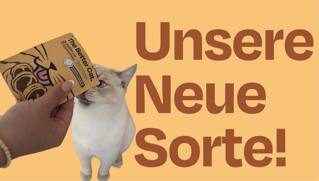 Sie ist zurück - jetzt auch im Frischebeutel: Huhn mit Kaninchen x Sinascolorcats 🐰🐾