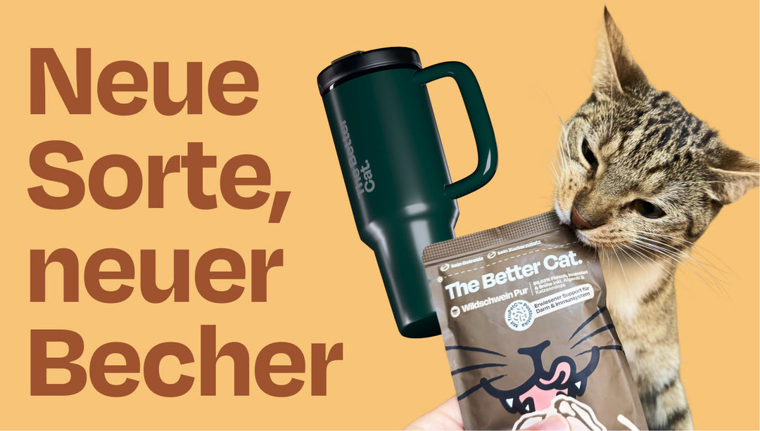 Das ist kein Aprilscherz - zwei Neuigkeiten im Shop!