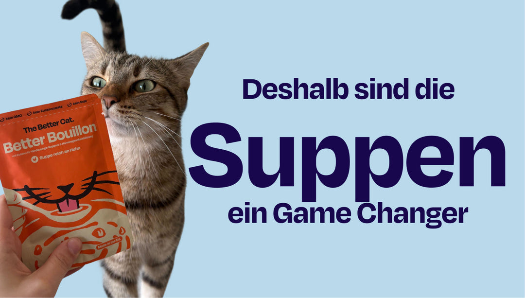 3 einfache Wege, wie unsere Suppen Miez unterstützen
