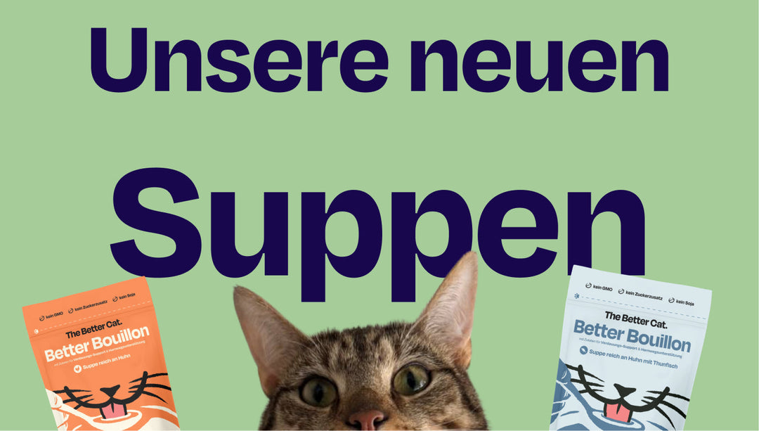 Das perfekte Add-On für die warme Jahreszeit - unsere Suppen