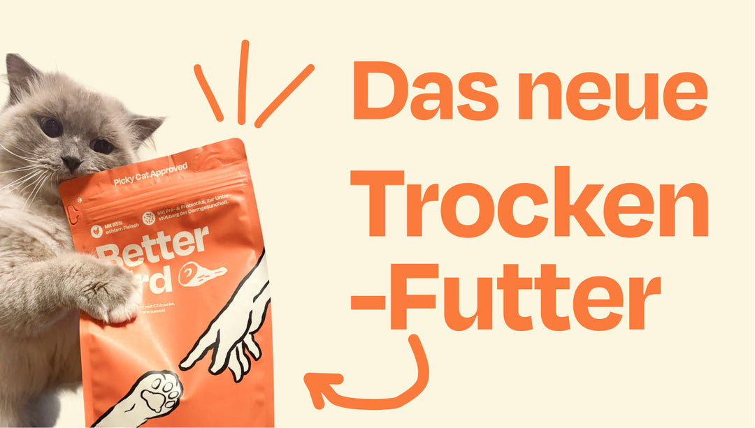 Ab sofort - unser 2kg Trockenfutter!