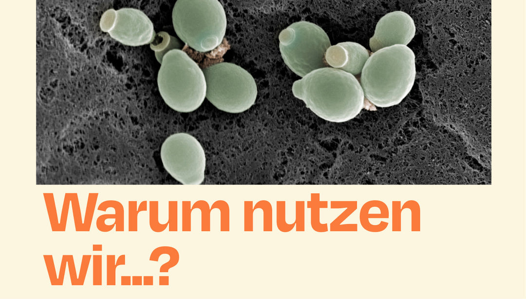 Warum nutzt ihr eigentlich Beta-Glucane?
