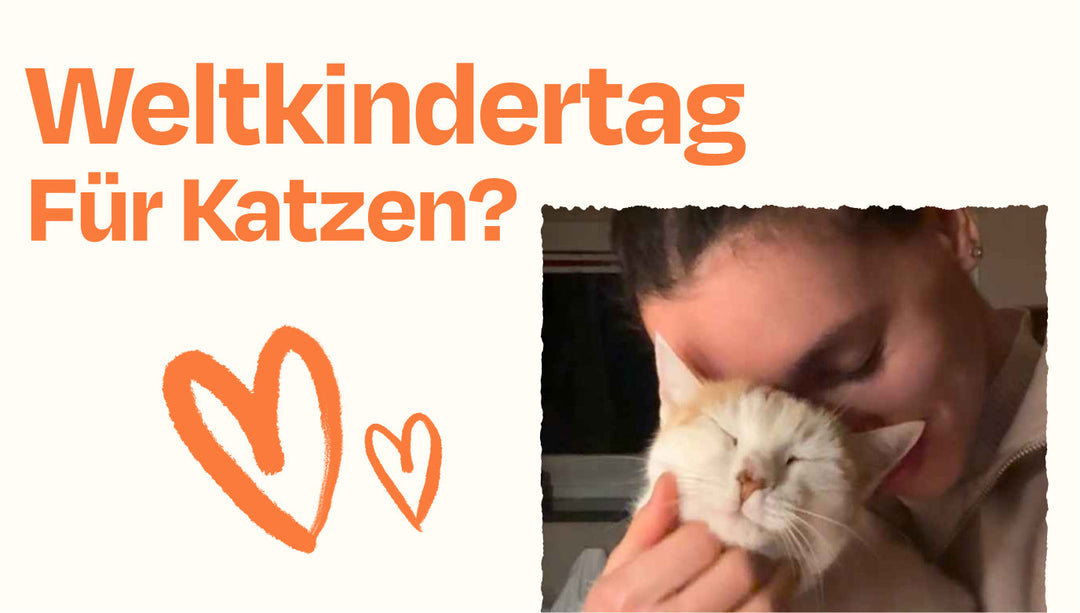 Weltkindertag am 1. Juni: Eine Hommage an unsere Samtpfoten-Kinder